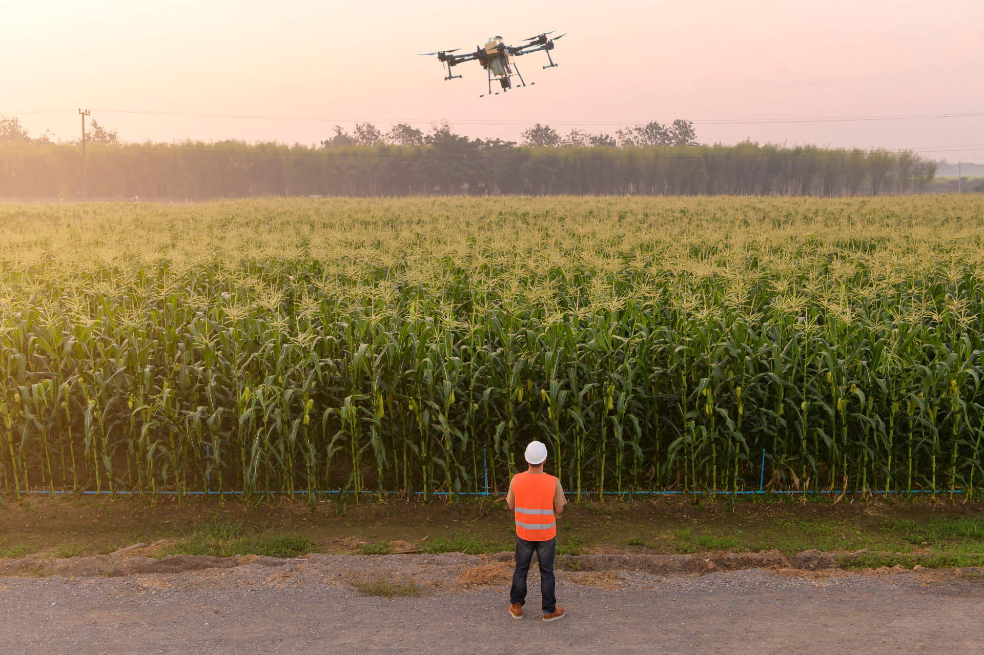 ✈️ Alterra DRONE, l'expertise drone 100% locale pour vos besoins concrets ! ✈️
