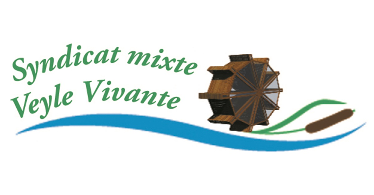 Image du site Syndicat Mixte Veyle Vivante